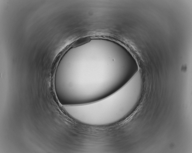 X0000090711165200707200945