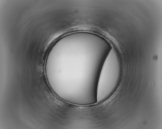 X0000090711166200707200945