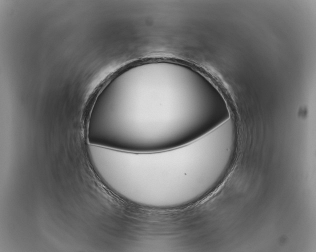 X0000090711167200707200945