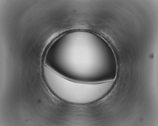 X0000090711168200707200945