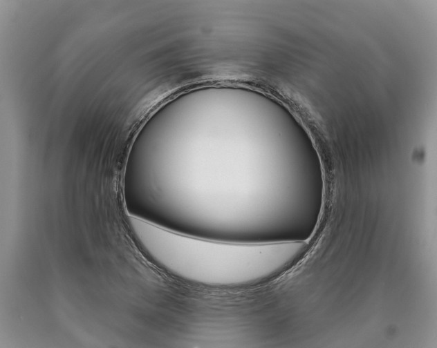 X0000090711169200707200945