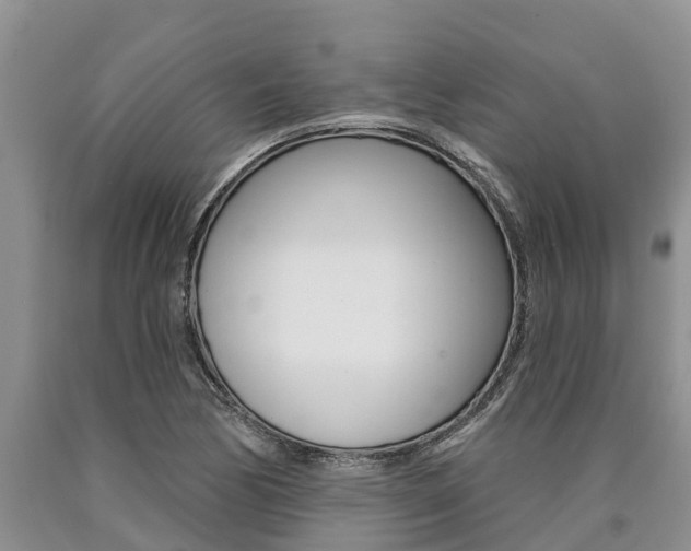 X0000090711170200707200945