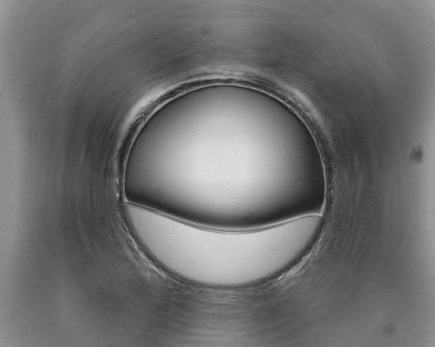 X0000090711172200707200945