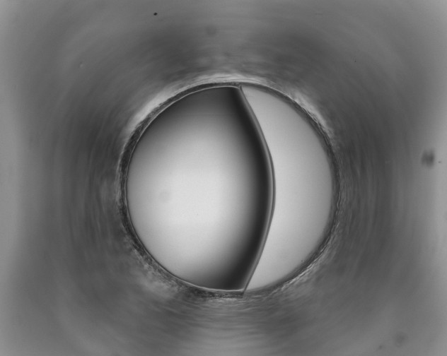 X0000090711173200707200945
