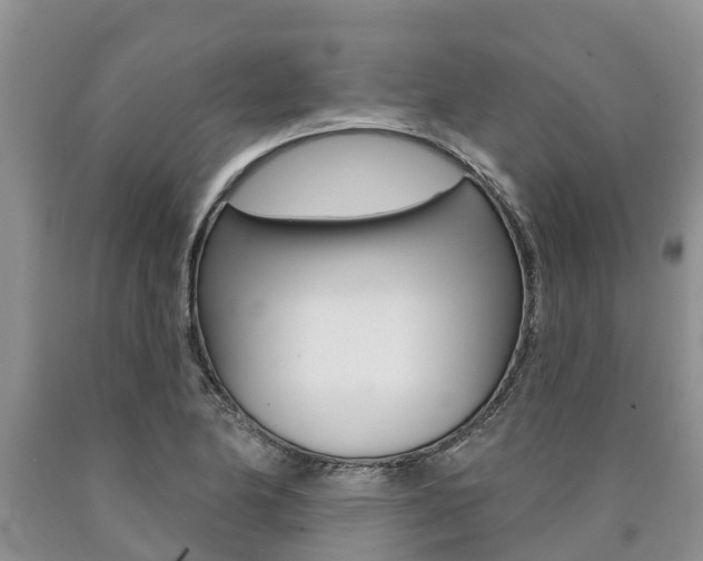 X0000090711174200707200945