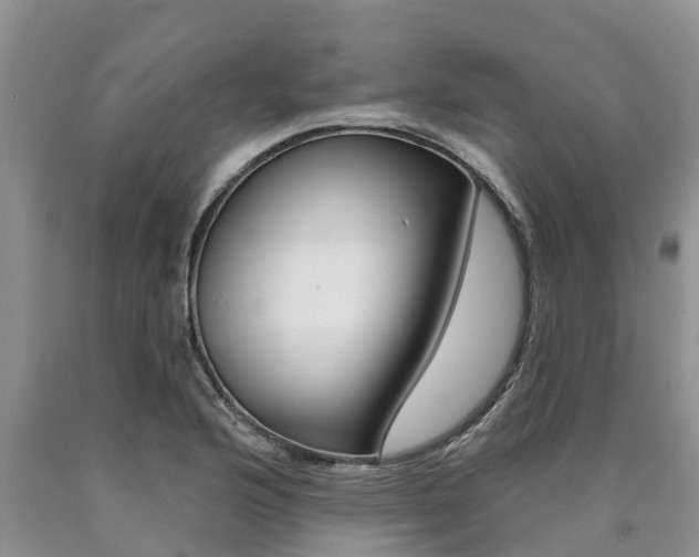 X0000090711176200707200944