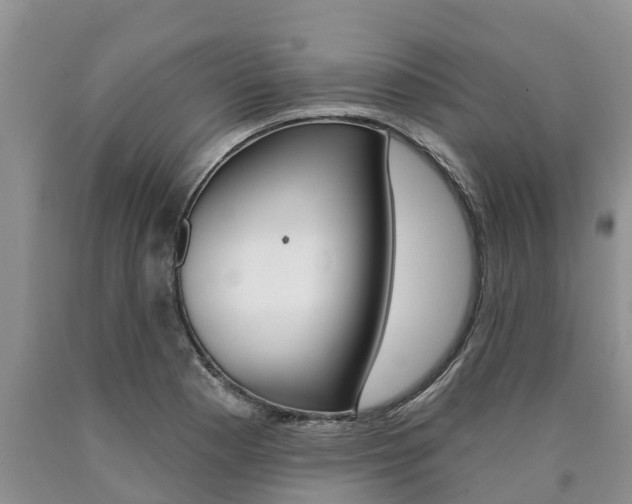 X0000090711177200707200944