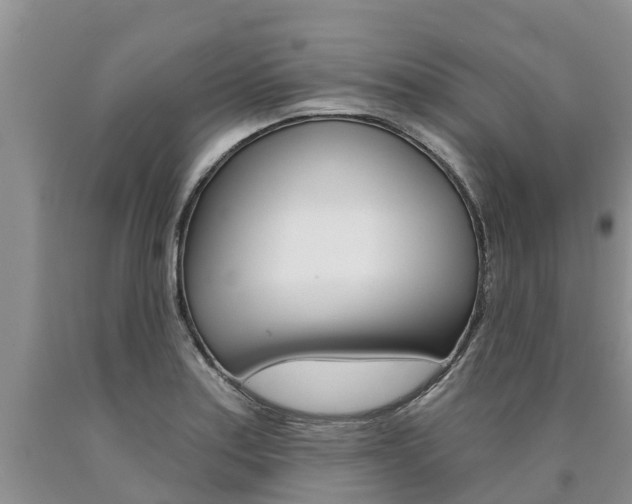 X0000090711179200707200944