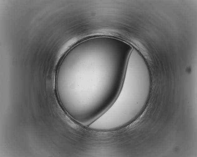 X0000090711180200707200944