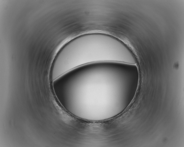 X0000090711181200707200944