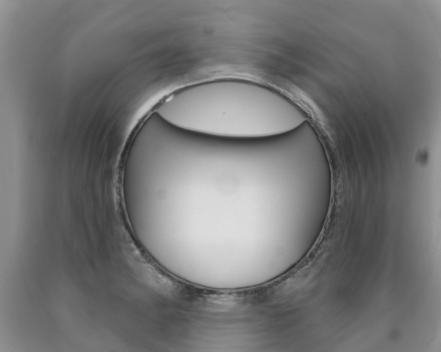 X0000090711182200707200944