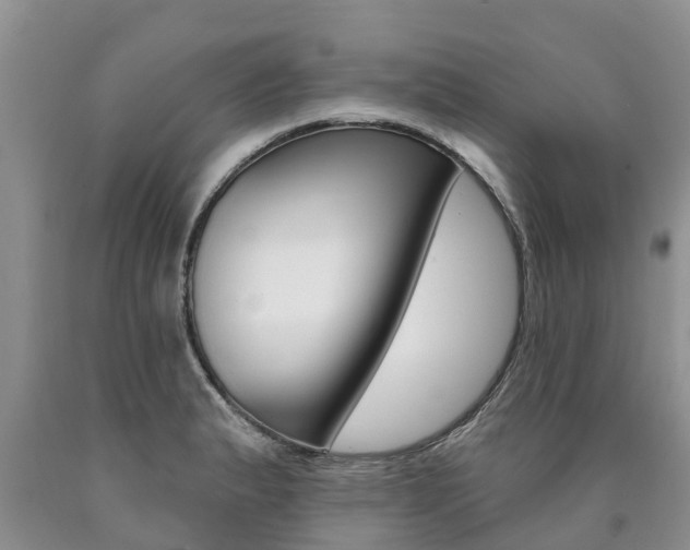 X0000090711183200707200944