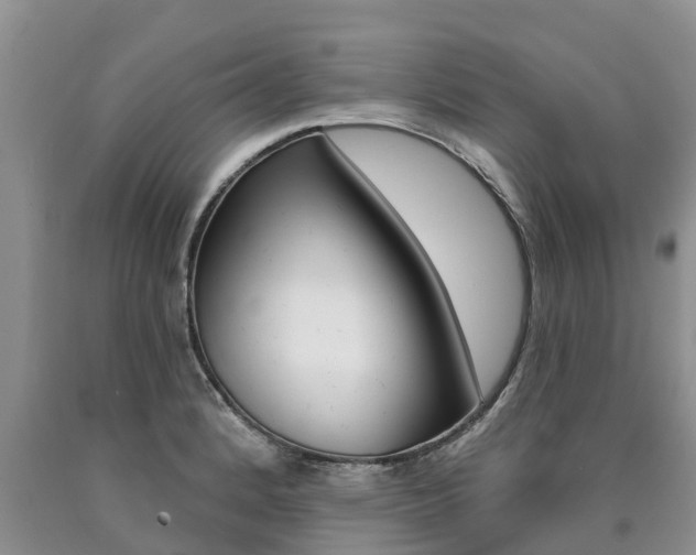 X0000090711184200707200944