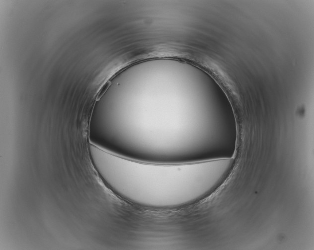 X0000090711185200707200944