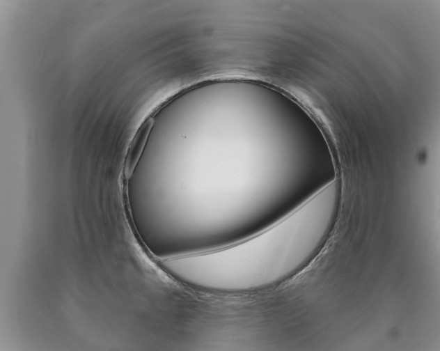 X0000090711189200707200944