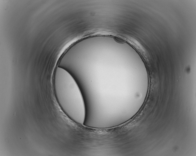 X0000090711190200707200944