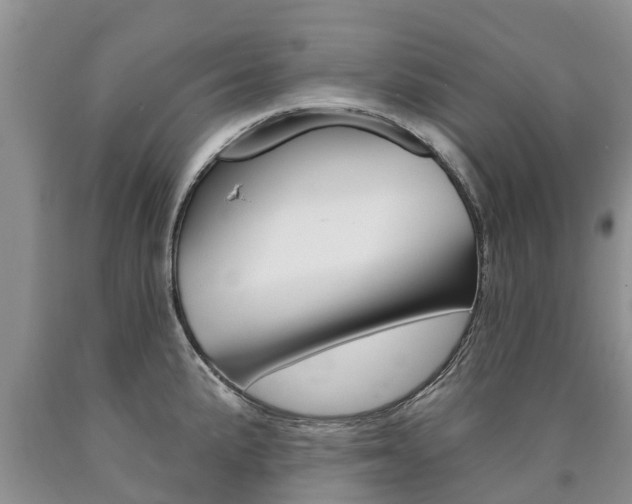 X0000090711191200707200944