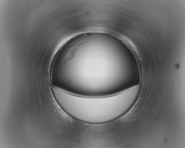 X0000090711192200707200944