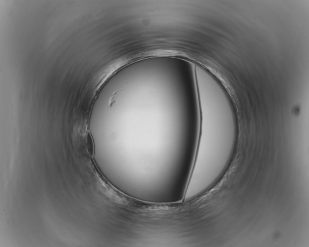 X0000090711193200707200944