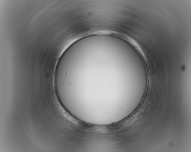 X0000090711194200707200944