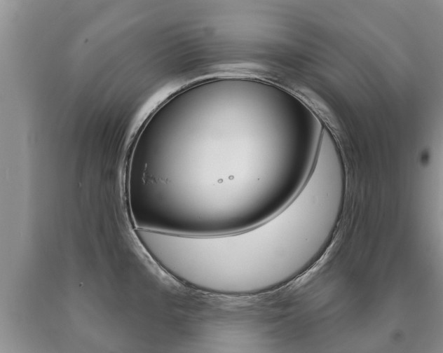 X0000090711196200707200944