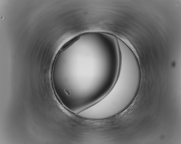 X0000090711197200707200944