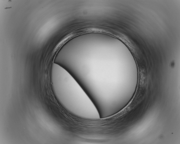 X0000090711198200707200944