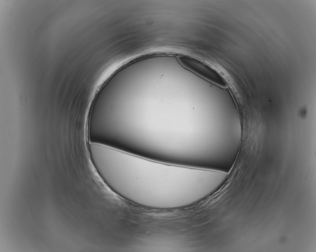 X0000090711199200707200944