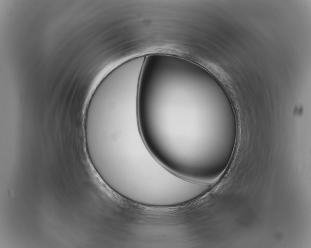 X0000090711200200707200944