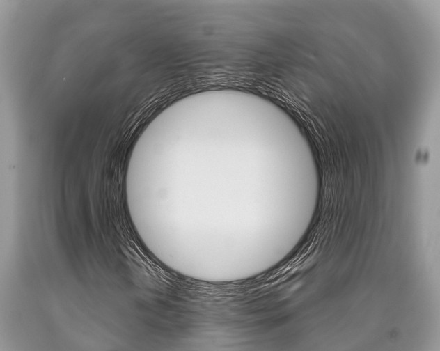 X0000090711202200707200943