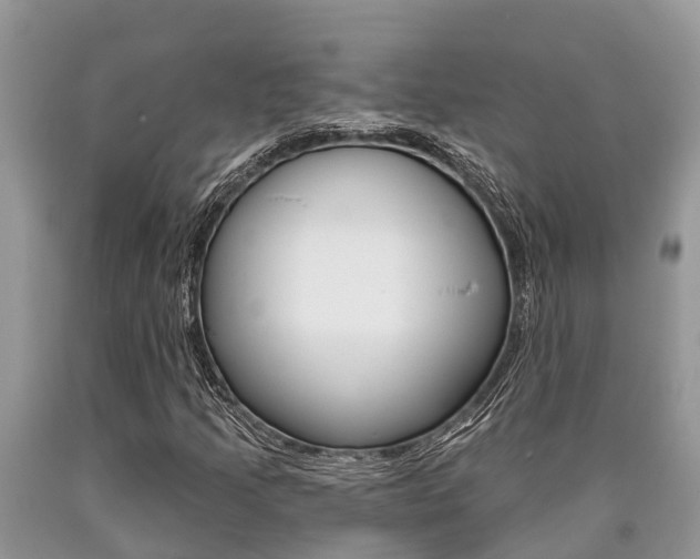 X0000090711205200707200944