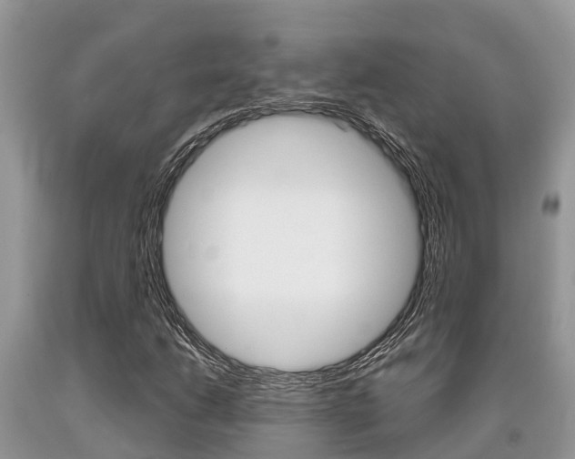 X0000090711206200707200944