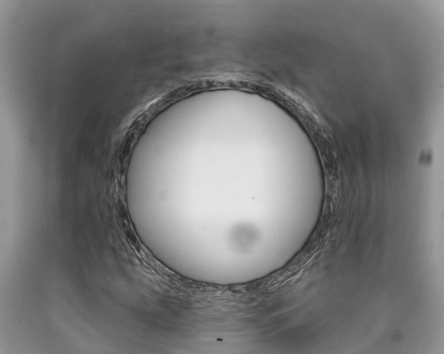 X0000090711207200707200944