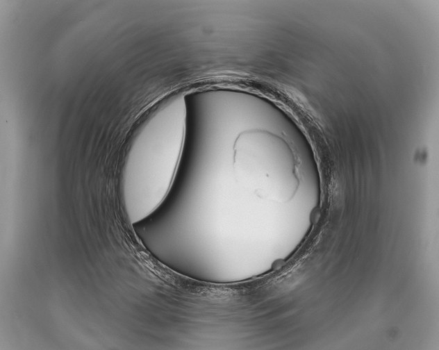 X0000090711209200707200944