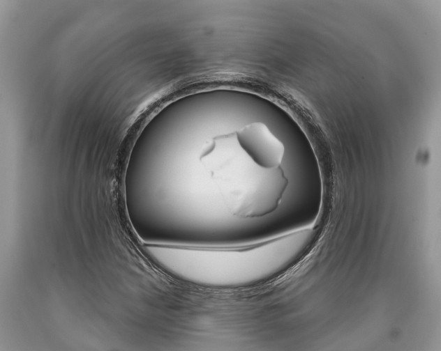 X0000090711210200707200944