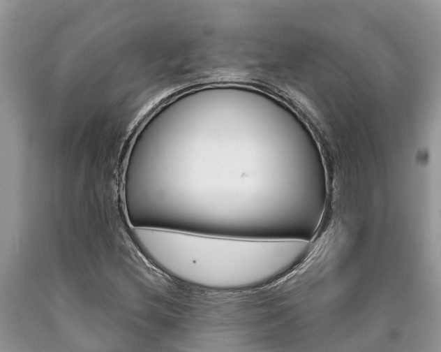 X0000090711212200707200944
