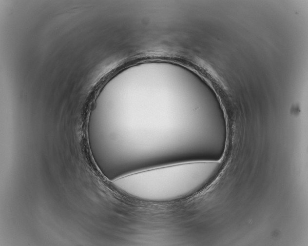 X0000090711213200707200944