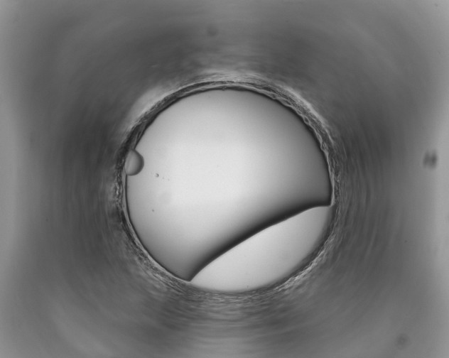 X0000090711215200707200944