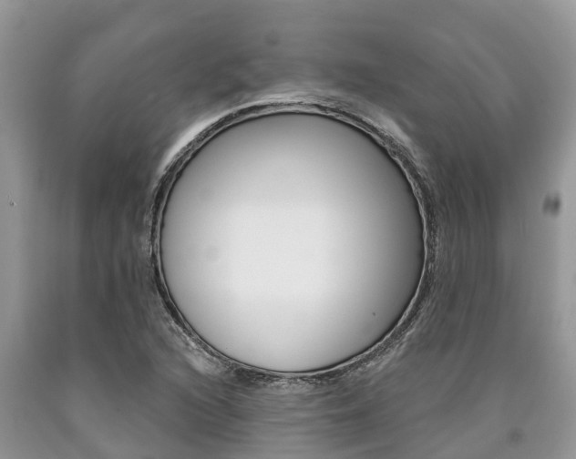 X0000090711216200707200944