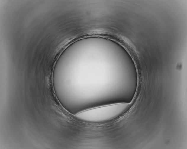 X0000090711217200707200944