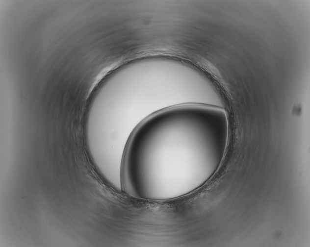 X0000090711218200707200944