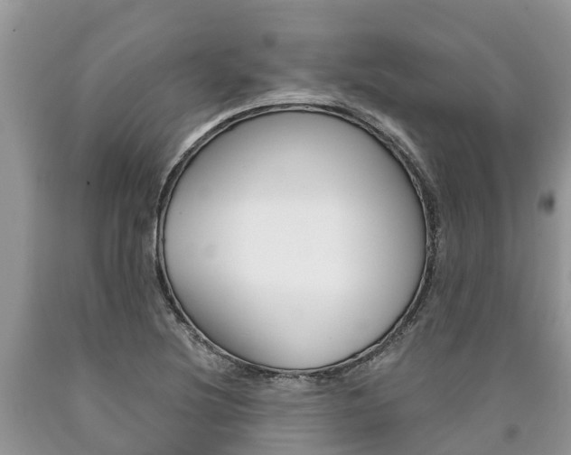 X0000090711220200707200944