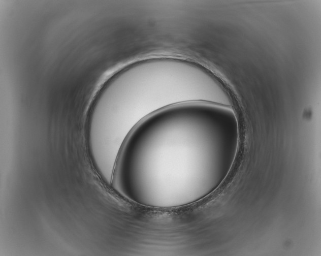 X0000090711222200707200944
