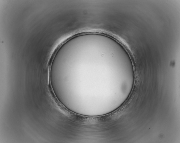 X0000090711223200707200944