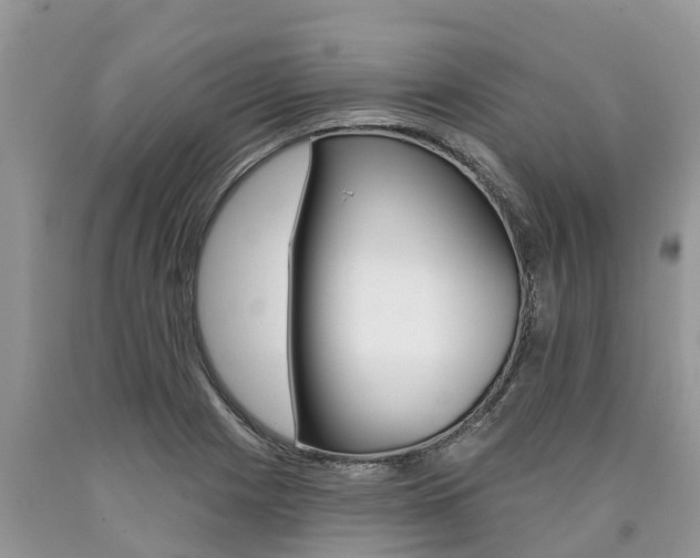 X0000090711225200707200944