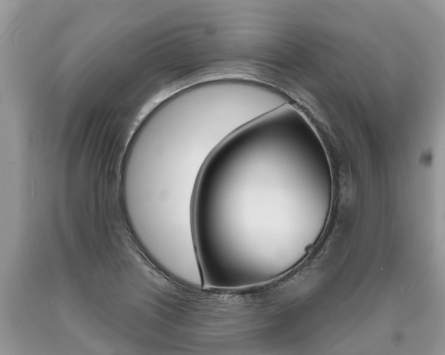 X0000090711226200707200944