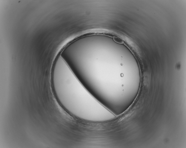 X0000090711229200707200944