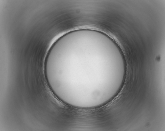 X0000090711230200707200944