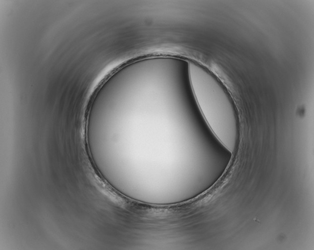 X0000090711232200707200944