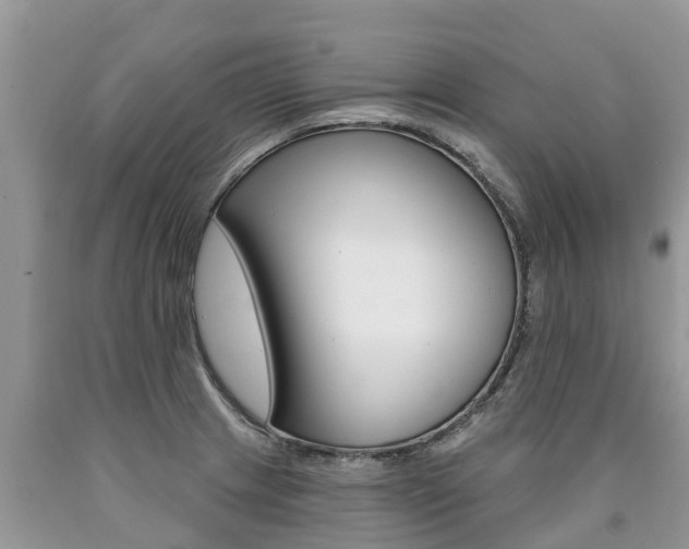 X0000090711233200707200944